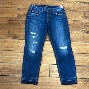 Silver Sam Jeans